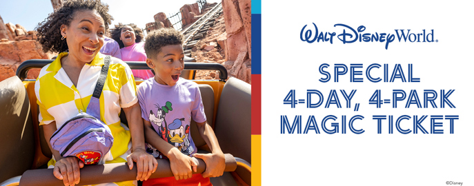 Disney World Day Park Magic Ticket Offer