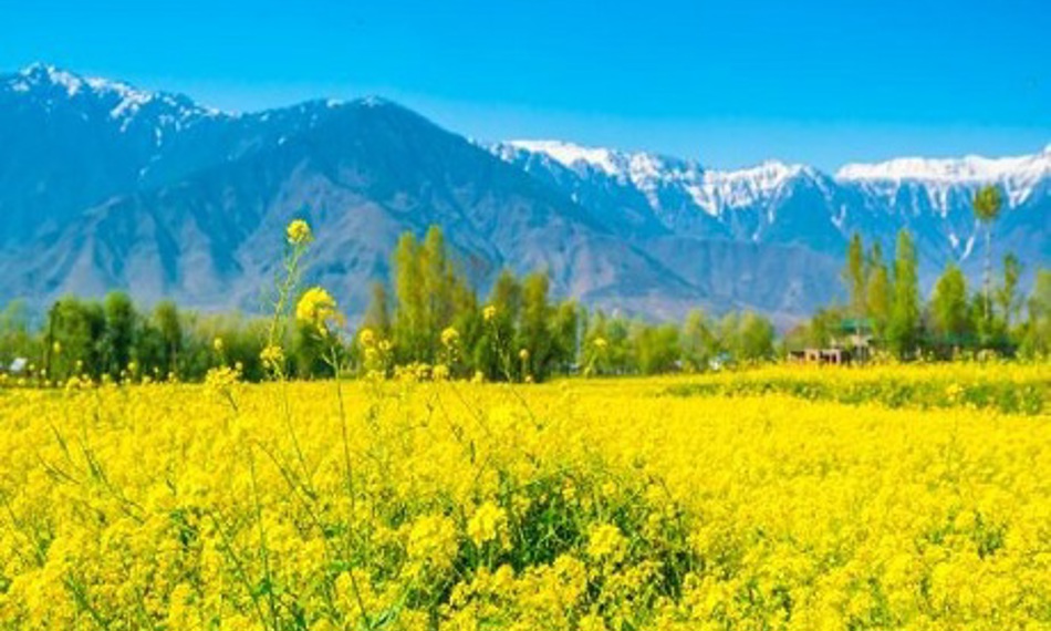 KashmirHills Kashmir Tour Packages KashmirHills