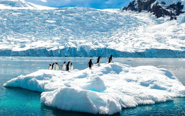 Antarctica Expedition