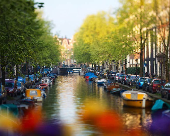 Boats moored along a tree-lined canal in Amsterdam
