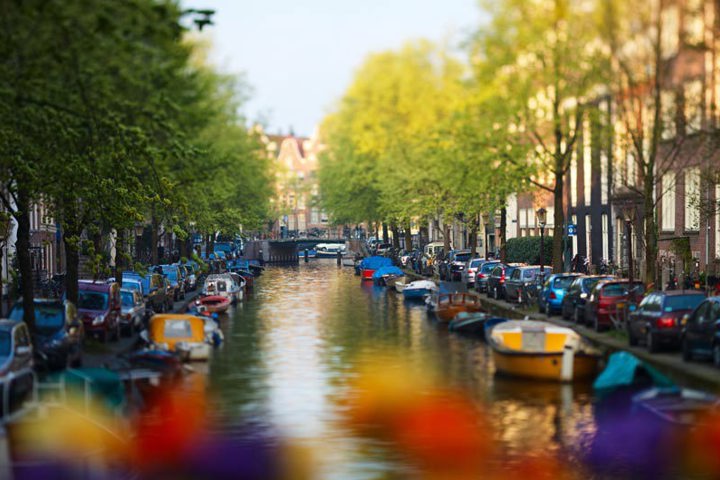 Amsterdam canal lined with trees and moored boats