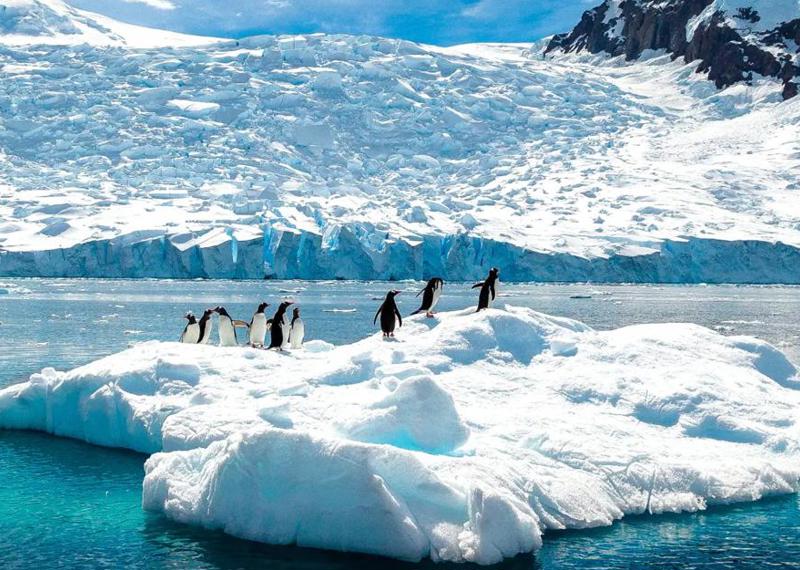 Antarctica Expedition