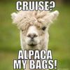 Alpaca My Bags