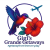Hummingbird - Business Logo